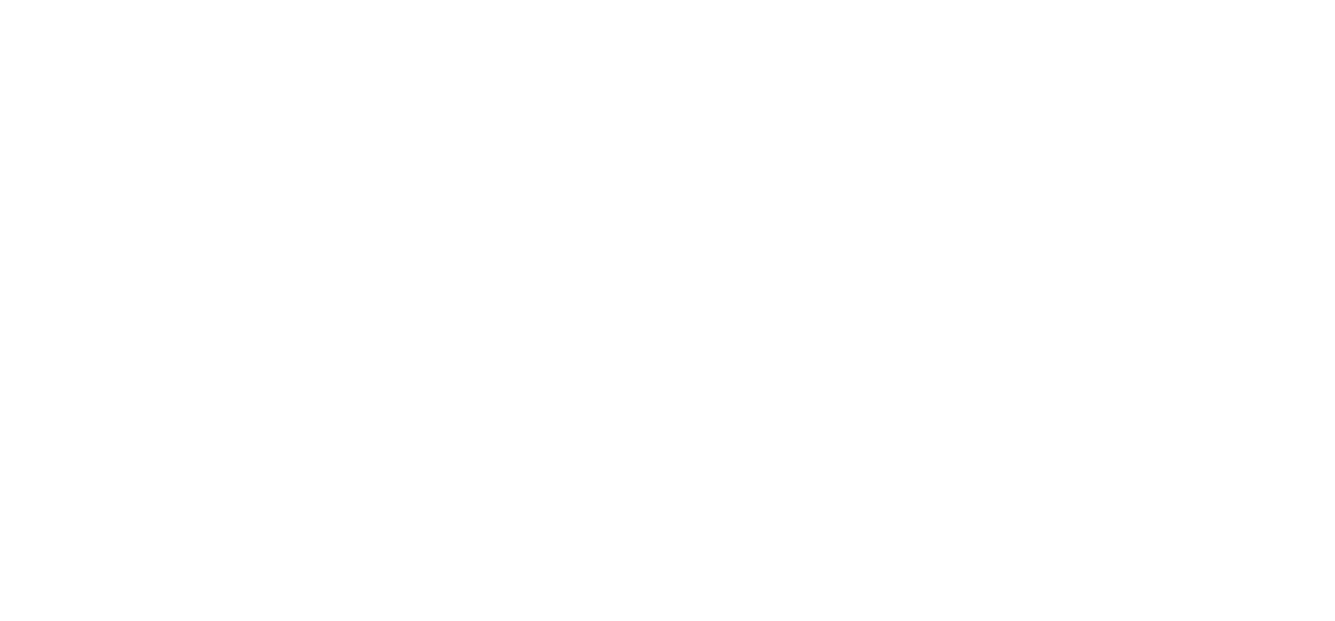 The Fishnett Plan
